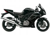 2009 Suzuki SV650 Sport photo